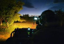 WildEarth TV. An early morning drive.