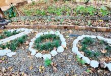 Joburg Zoo. An overview of my visit.
