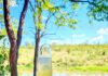 A Sun Destinations destination. Chacma Bush Camp