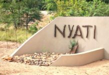 Nyati Big 5 Safari Lodge. Spotted…