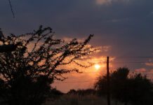 My Kgalagadi experience with GoTrip